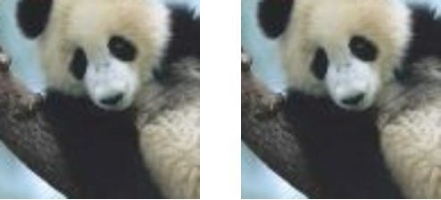 图片发布