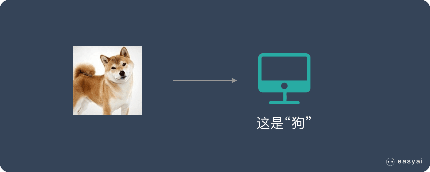 當機器遇到新的小狗照片時就能認出他