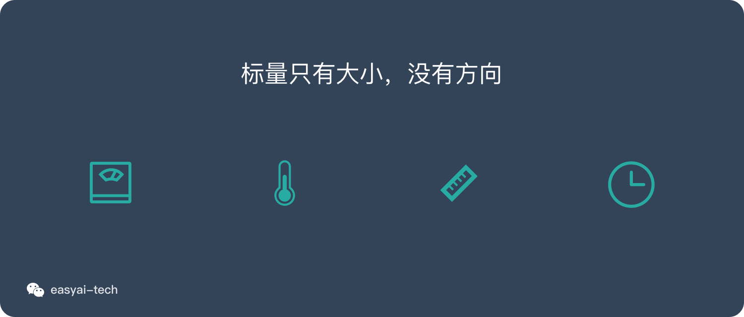 标量只有大小，没有方向