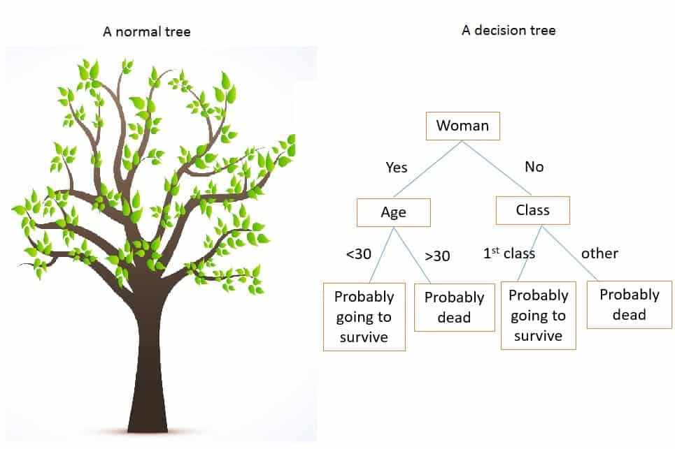 Decision tree example